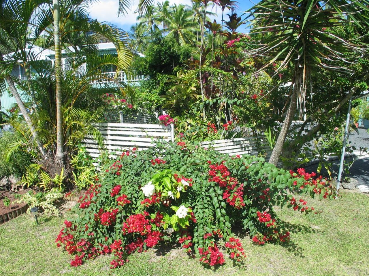 Sunhaven Beach Bungalows (Adults Only) Rarotonga Exterior photo